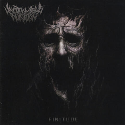 Finitude