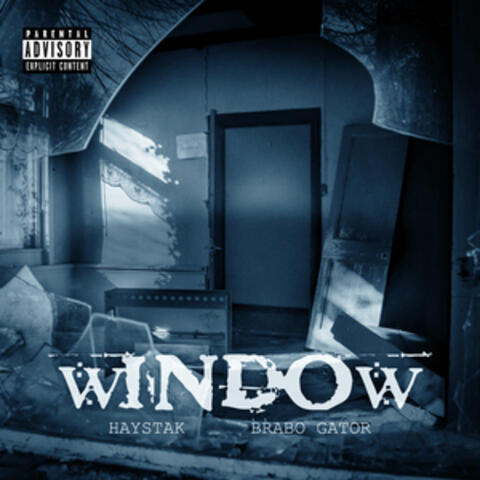 Window