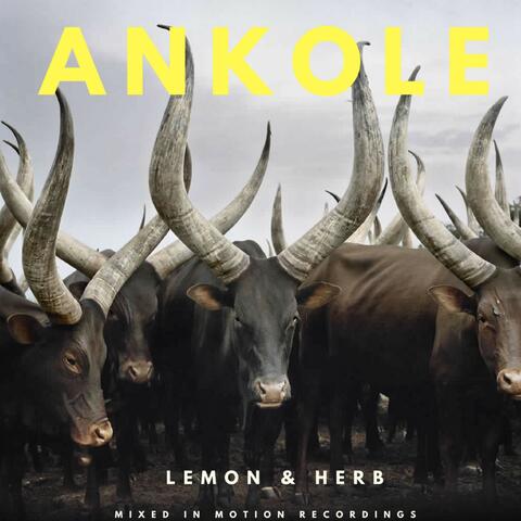 Ankole