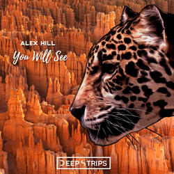 You Will See