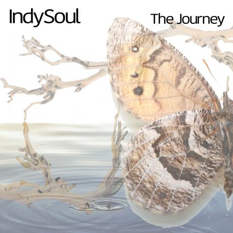 The Journey