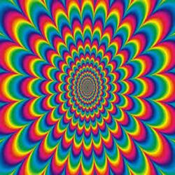The Psychedelic Lesson