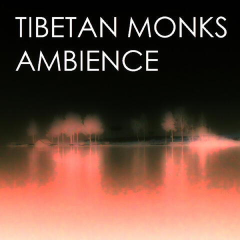 Ambience (Remixes)