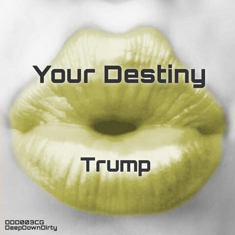 Your Destiny