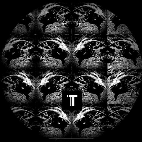 TAR08