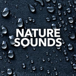 Sounds Of The Nature