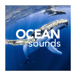 Meditation Sounds