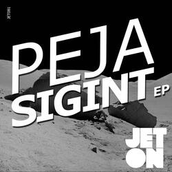 Sigint