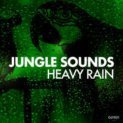 Jungle Rain