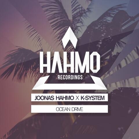 Joonas Hahmo X K-System