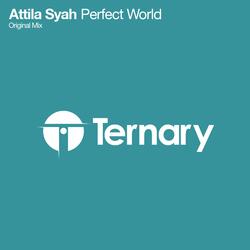 Perfect World
