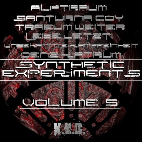 Synthetic Experiments, Vol. 5