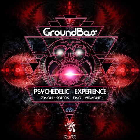 Psychedelic Experience