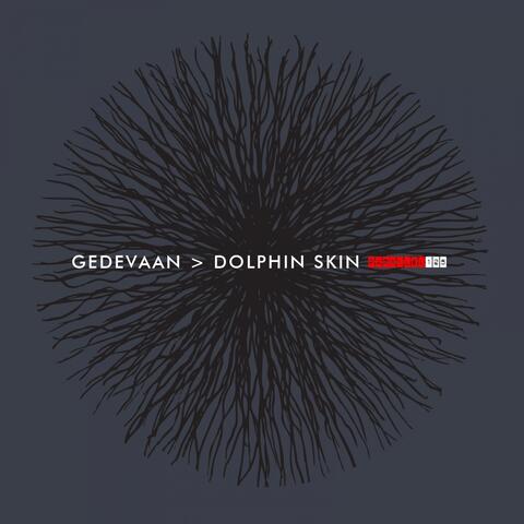 Dolphin Skin