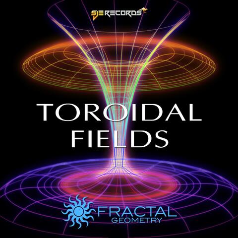 Toroidal Fields