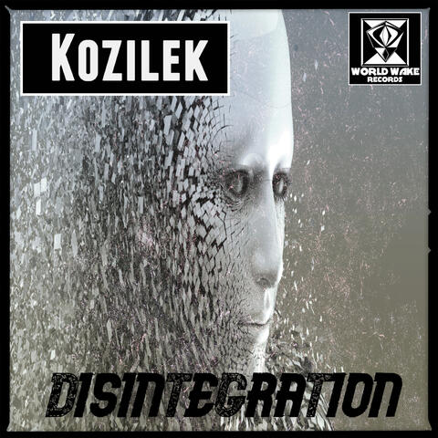 Disintegration
