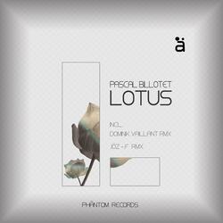 Lotus