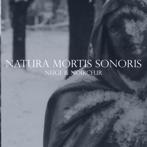 Natura Mortis Sonoris