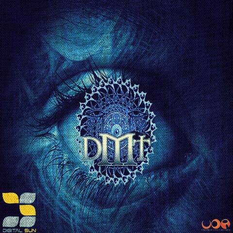 DMT EXPERIENCE