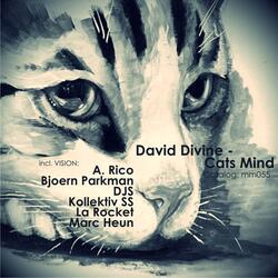 Cats Mind