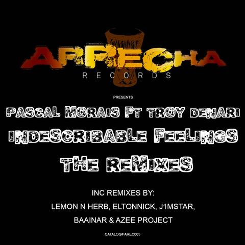 Indescribable Feelings (The Remixes)