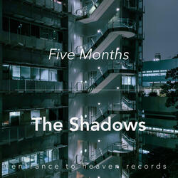 The Shadows