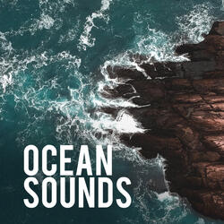 Relaxing Whale Sounds