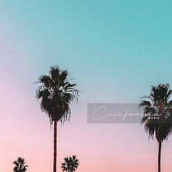 One Night on Copaccabana