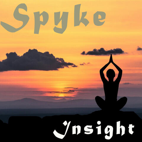 Insight