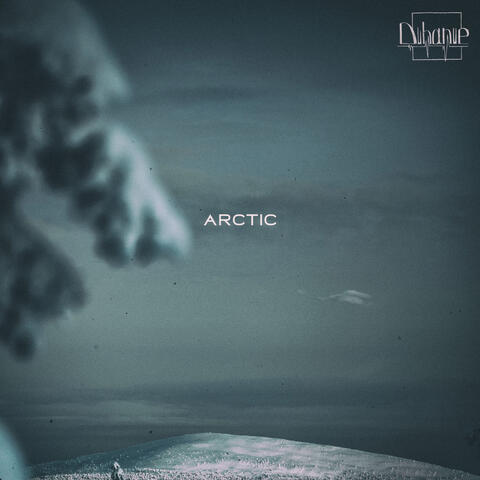 arctic