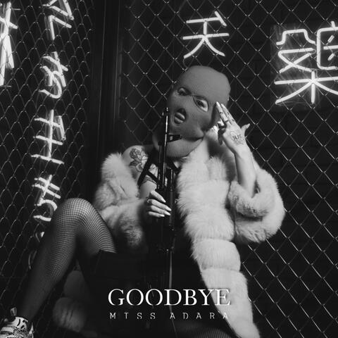 Goodbye