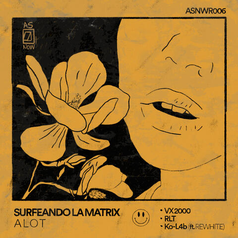 Surfeando la Matrix