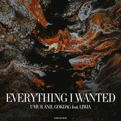 Everything I Wanted