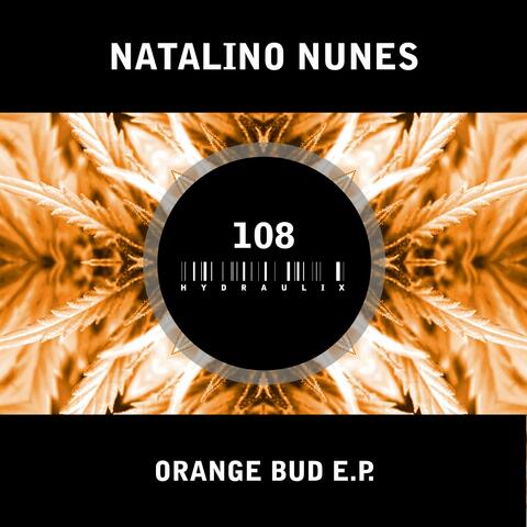 Orange Bud E.P.