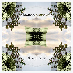 Selva