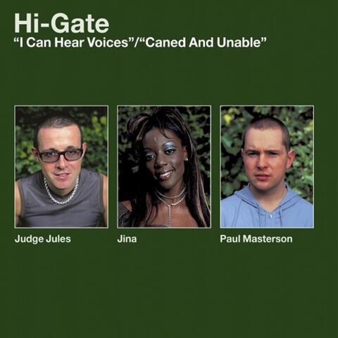 Hi-Gate