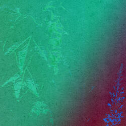 Necesidades Basicas Resueltas