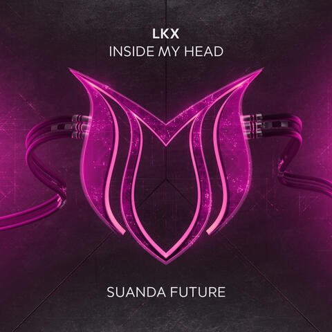 Inside My Head