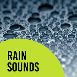 Heavy Rain