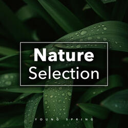 Mother Nature