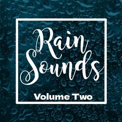Relaxing Rain Sounds Drops