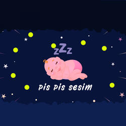 Pis Pis Ninnisi Ve Araba Sesi