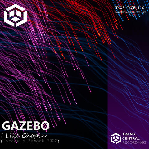 I Like Chopin ( Hamaeel's Rework 2022)