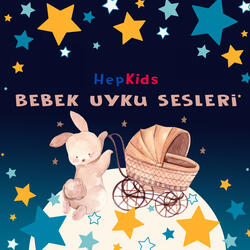 Bebekler İçin Fön Sesi (Döngü Loop)