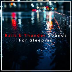 Deep Sleep Rain, Pt. 17