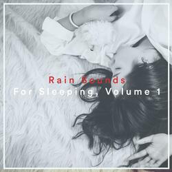 Deep Sleep Rain, Pt. 1