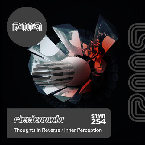 The Inner Perception | Thoughts In Reverse