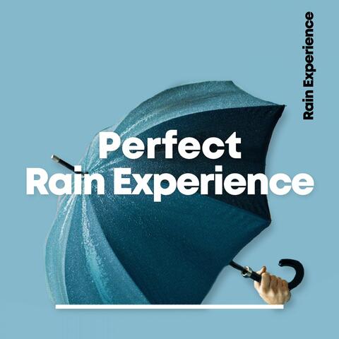 Perfect Rain Experience