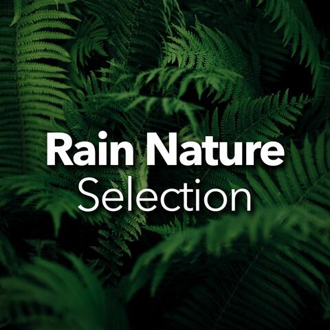 Rain Nature Selection