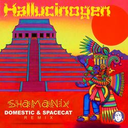 Shamanix